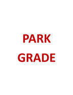 PG Golden Rain Tree
